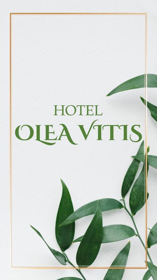 Отель Olea Vitis Меджугорье Экстерьер фото